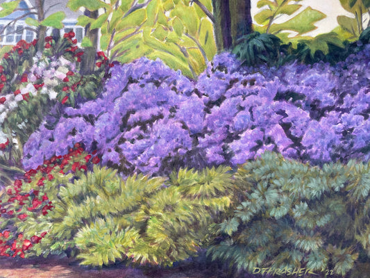 David Thrasher - Purple Azaleas