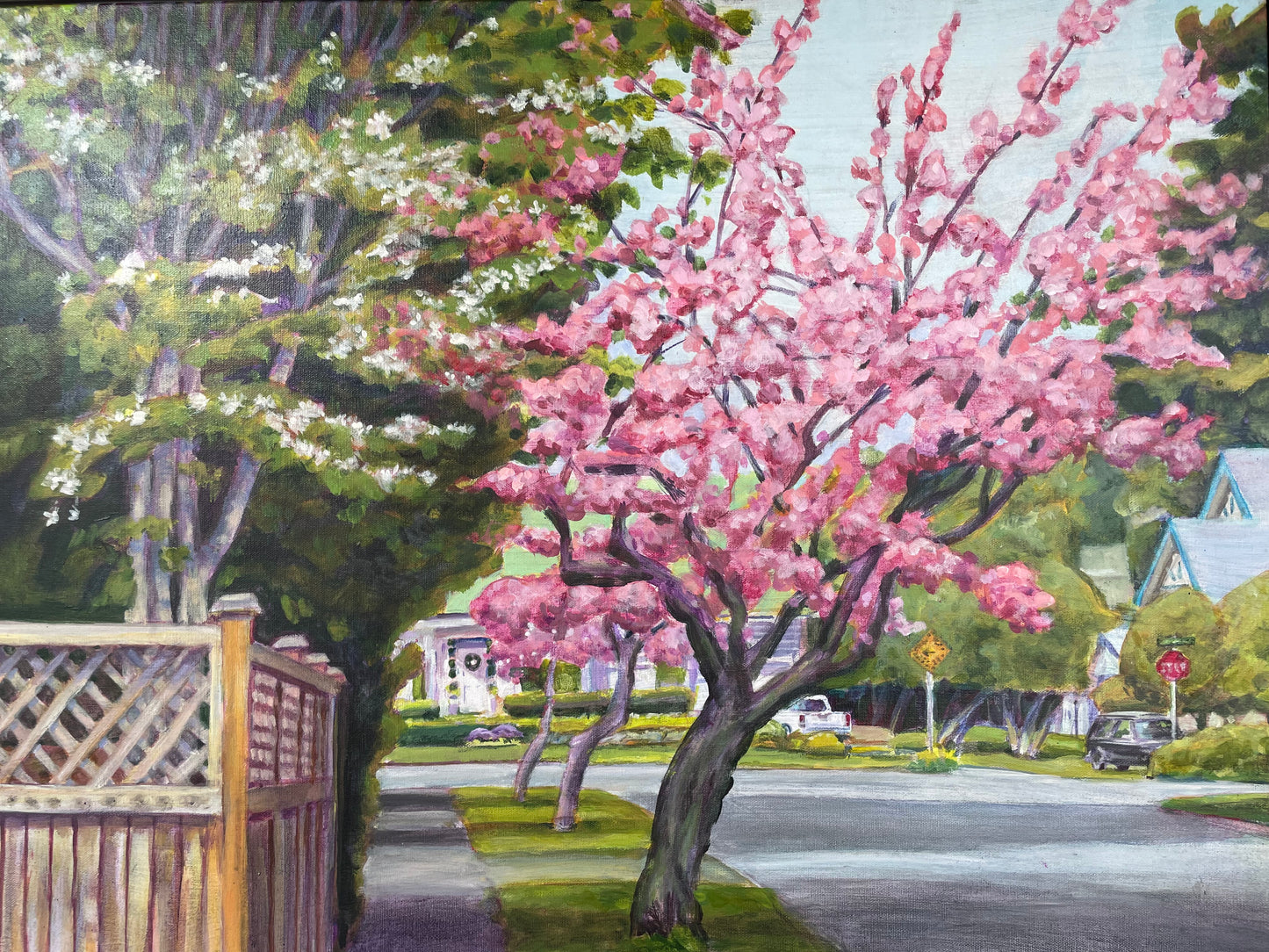 David Thrasher - Pink Apple Blossom